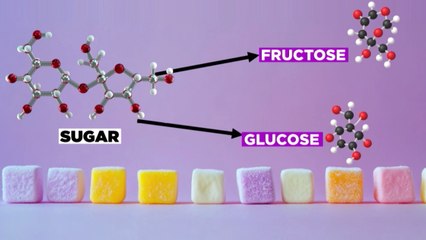 Health 360: Truth behind sugar-free products; India’s falling birth rate