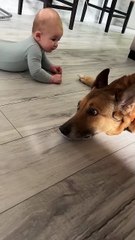 entertainment,online earning,relaxing,comedyshorts