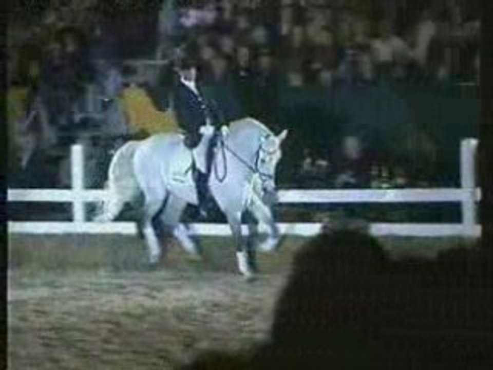 Clinton1  etalon  holsteiner  thomas voss