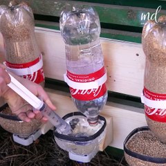 3 New ways you can build a chicken feeder! 🐤