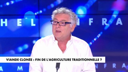 Michel Onfray : «Aujourd'hui, on fabrique de la viande idéologique»