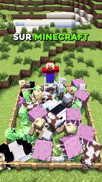 Ce que tu ne diras jamais sur Minecraft