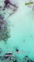 Don't aim for success if you want it #facts #motivation #energy #quotes