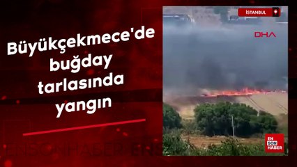 İstanbul Büyükçekmece'de buğday tarlasında yangın