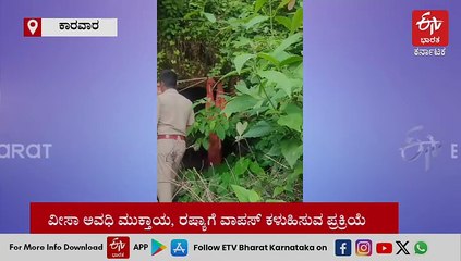 Watch.. ಗೋಕರ್ಣದ ಗುಹೆಯಲ್ಲಿ ರಷ್ಯಾ ಮಹಿಳೆ ಮತ್ತು ಮಕ್ಕಳ ವಾಸ: ಪತ್ತೆ ಹಚ್ಚಿ ರಕ್ಷಿಸಿದ ಪೊಲೀಸರು