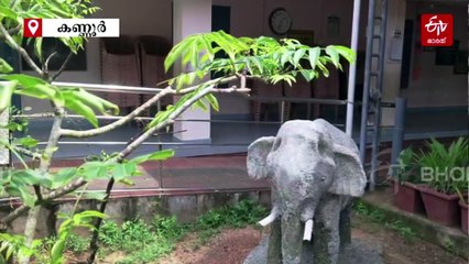 'ഇത് ഇമ്മിണി ബല്യ ആന'; കൊഴുമ്മൽ ഗവ. എൽപി സ്‌കൂളിലെ പഠനം ഇനി ഗോവിന്ദന്‍ മാഷിന്‍റെ കരിവീരനെ കണ്ട്