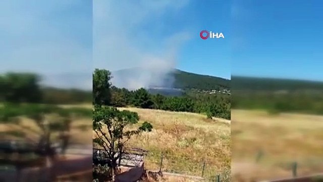 Aydos Ormanı’nda yangın