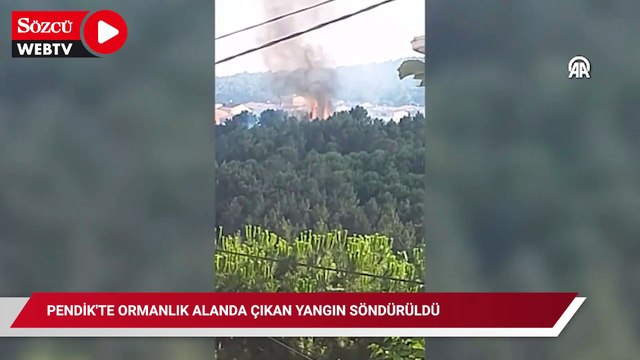 Pendik'te ormanlık alanda çıkan yangın söndürüldü
