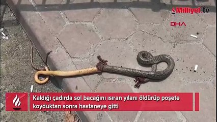 Bacağını ısıran yılan ile hastaneye gitti
