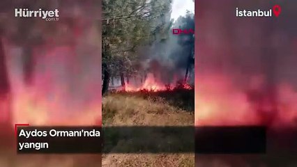 Aydos Ormanı'nda yangın