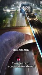 Shadow Fades / A Deal With Destiny – FULL MOVIE [Eng Sub]