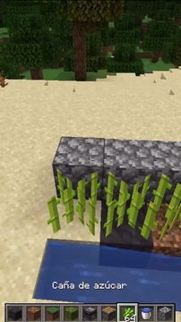 Granja de caña de azucar para minecraft java y bedrock