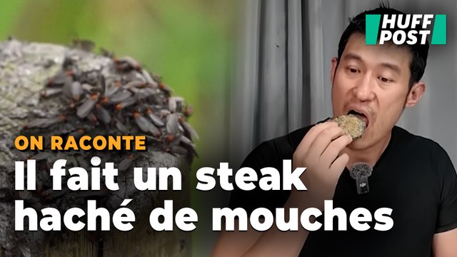 Il y a tellement de mouches en Corée du Sud que ce Youtubeur en a fait un steak haché