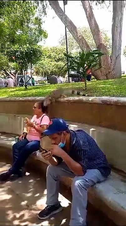 Be careful where you eat,  you never know who is watching - Imgur