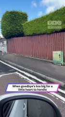 Tiny Feet, Big Emotions—His Goodbye Hug Stops Everything