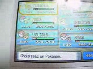 Mon équipe numéro 38 avec que des Shiney