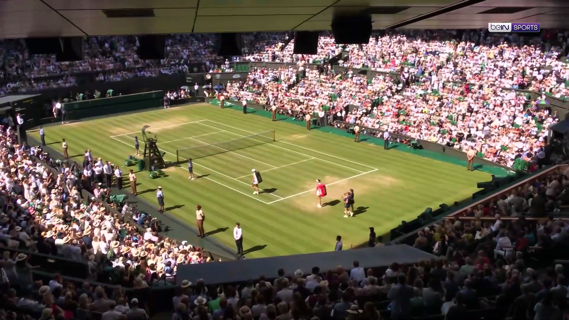 Swiatek destroys Anisimova 6-0, 6-0 to win first Wimbledon title | Highlights
