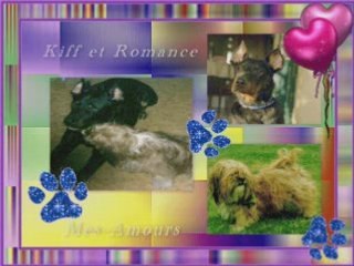 Anniversaire Amandine le 14 Mai 2008 18 ans