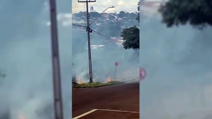 Incêndio atinge novamente área de vegetação no Santa Cruz e provoca transtornos