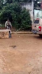Vídeo: Criminosos colocam barricada em ilha na Bahia e PM faz remoção