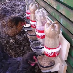 Very Easy DIY Chicken Feeders