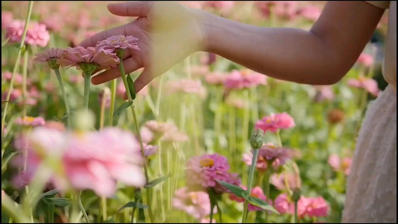 Oración de la tarde | Sábado 12 de julio | “Haz que mi corazón no se distraiga, Señor” 🙏🕊️