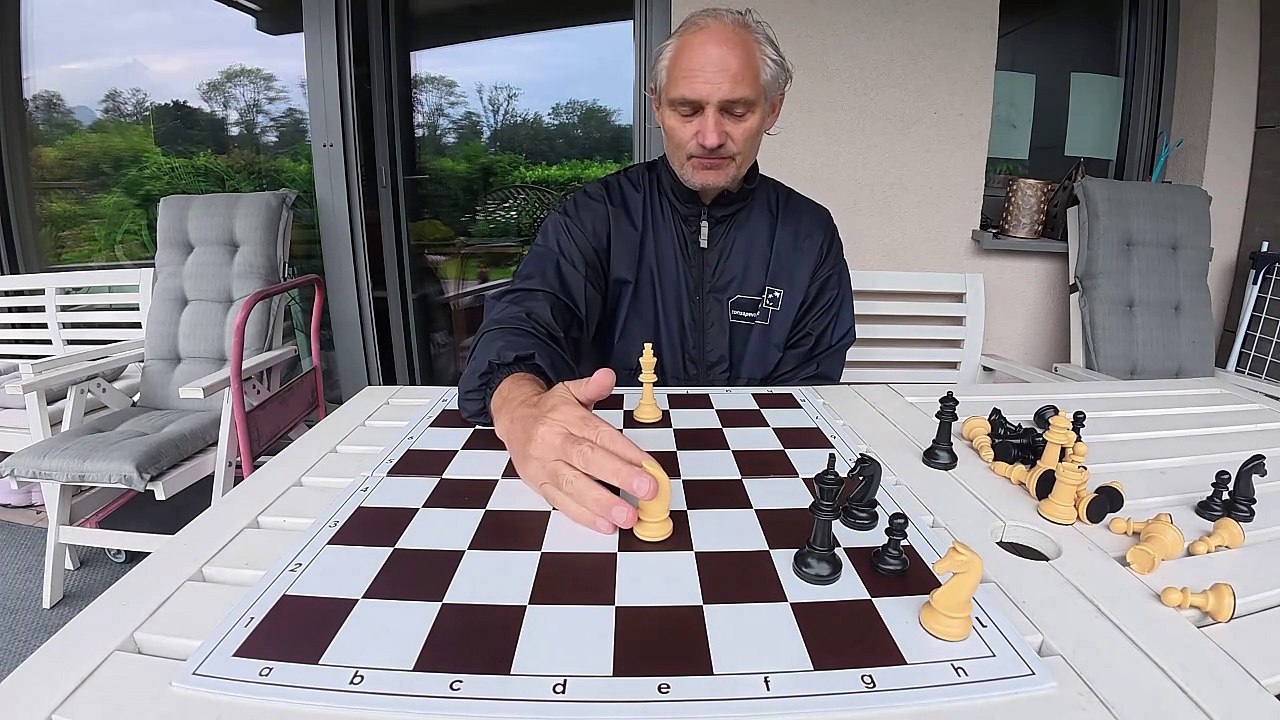 2 knight against queen. Highly complicated endgame - part one