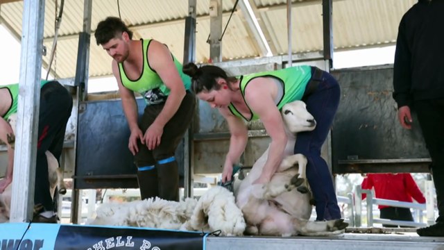 Mitch Power Quick Shear event gets men talking about mental health