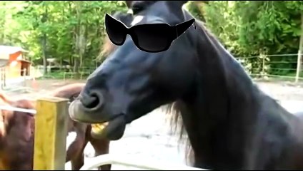 Cuecas de Plantão | show | 0 | Official Featurette