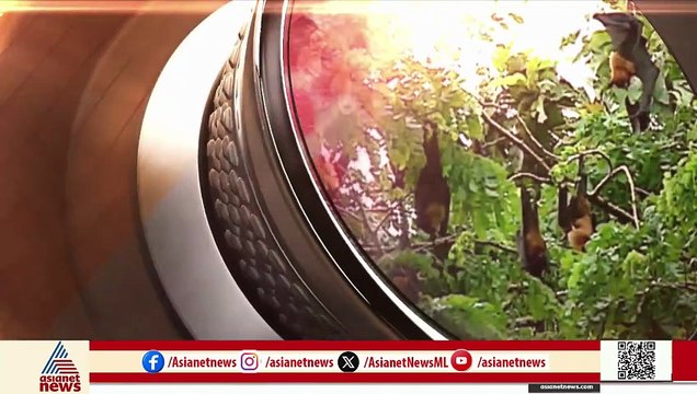 ഒഴിയാത്ത നിപ ഭീതി; പെരിന്തൽമണ്ണയിൽ മരിച്ച ആൾക്ക് നിപ സ്ഥിരീകരിച്ചു