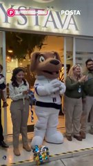 Funeral para mascotas en Durango