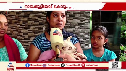 മിണ്ടാപ്രാണിയോട് കണ്ണില്ലാത്ത ക്രൂരത; ആസിഡ് ആക്രമണത്തിൽ നായയുടെ കാഴ്ച നഷ്ടമായി