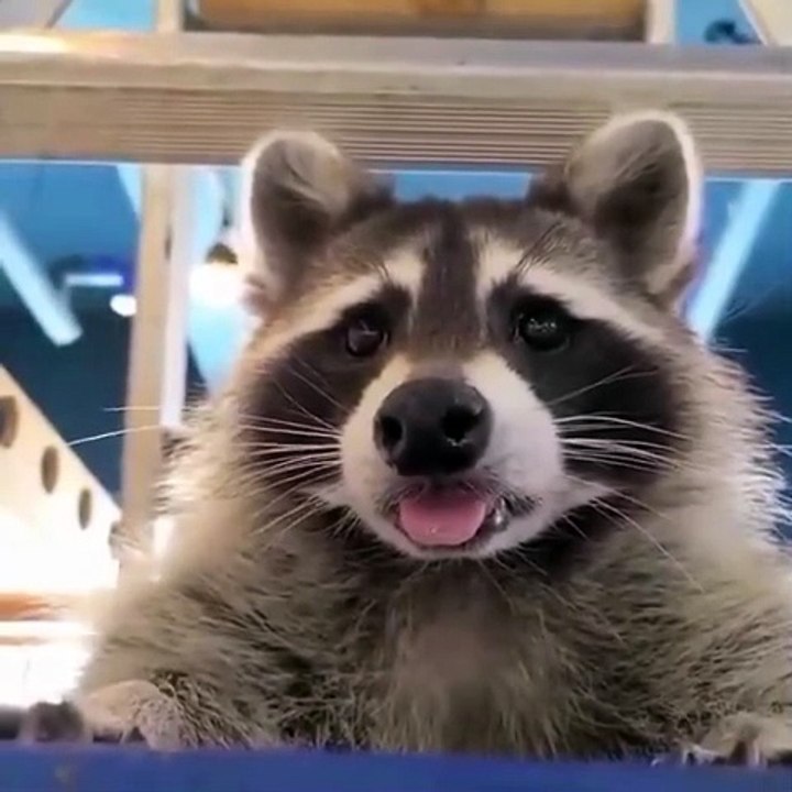 Give me someone, please