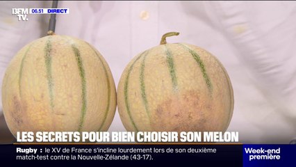 Poids, pédoncule... Comment bien choisir son melon
