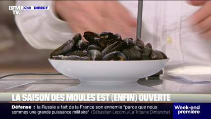 Avis aux amateurs de fruits de mer, la saison des moules est enfin ouverte