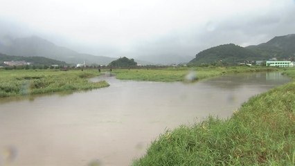 비 내리며 한풀 꺾인 더위...이 시각 대구 / YTN