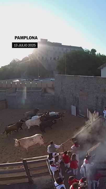 Los toros de La Palmosilla protagonizan un séptimo encierro muy peligroso