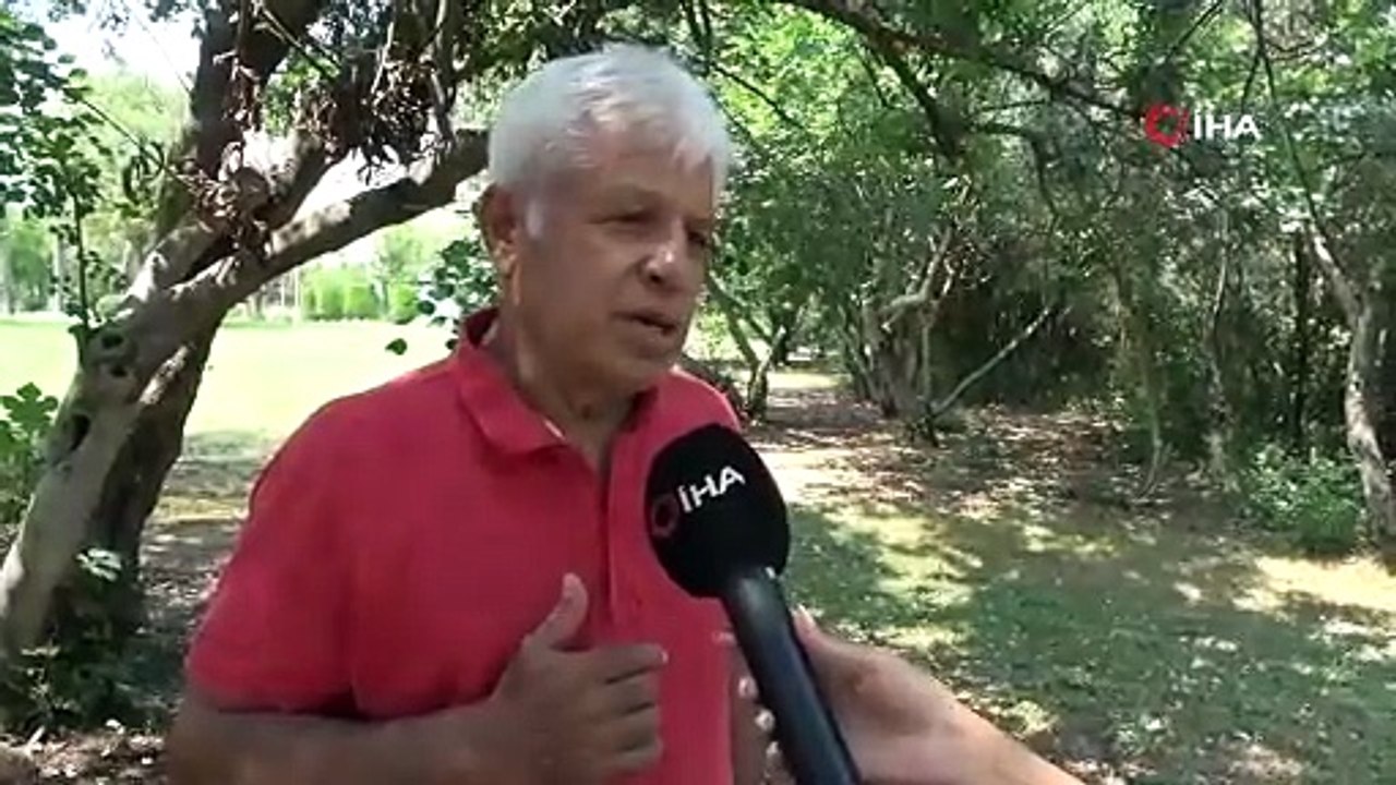 Profesörden denizlerin akciğerleri ’deniz çayırı’ uyarısı