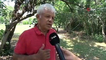 Profesörden denizlerin akciğerleri ’deniz çayırı’ uyarısı