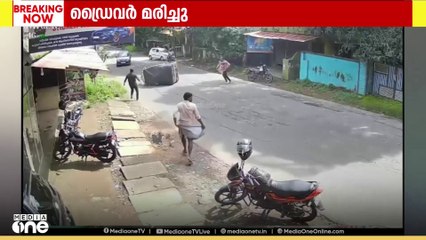 തെരുവ് നായ ഇടിച്ച് ഓട്ടോ മറിഞ്ഞു; ഡ്രൈവർ മരിച്ചു