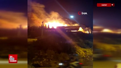 Hatay'da evlilik teklifinde atılan havai fişekler ağaçlık alanda yangınına sebep oldu