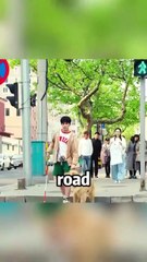 Adoring chinese film  #chinesedramalovers #chinese #cdrama #chinesedrama #tvdrama #film