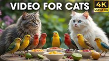 Squirrels & Birds Discover Hidden Treats in the Leaves - Birds For Cats To Watch [NO ADS]