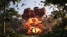 Anomali Hutan Meledak