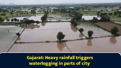 Gujarat: Heavy rainfall triggers waterlogging in parts of city