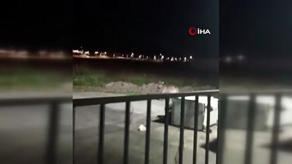 Anne ayı, yavrusunun fotoğrafını çeken kişiye saldırdı