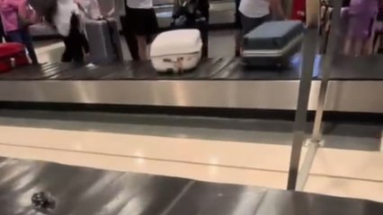 Suitcase wheel makes a solo entrance on baggage belt