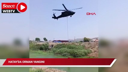 Hatay'da orman yangını