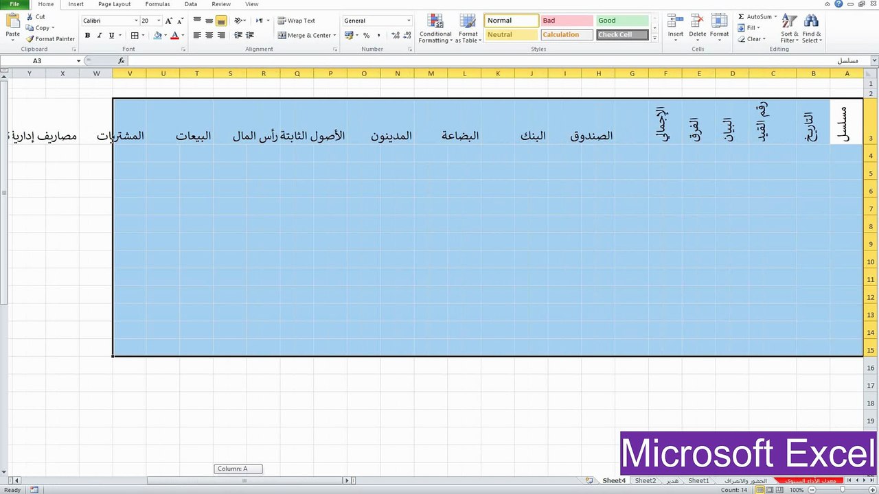 نسخ التنسيقات - عمل مقارنة في الاكسيل المحاسبي
