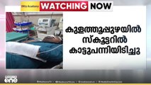 കൊല്ലം കുളത്തൂപ്പുഴയിൽ സ്കൂട്ടറിൽ കാട്ടുപന്നിയിടിച്ച്  യുവാവിന് ഗുരുതര പരിക്ക്